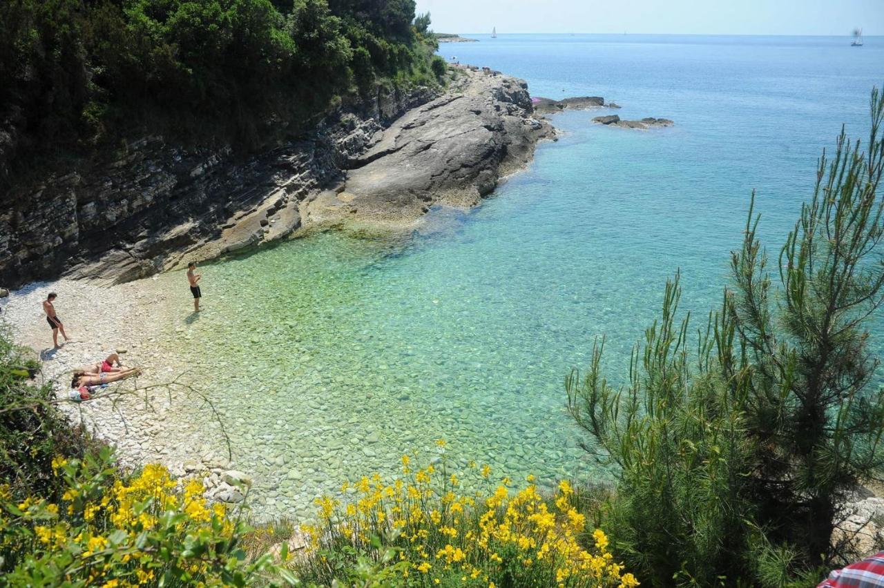 Appartamento Zepina *